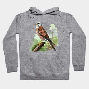 Kestrel Hoodie